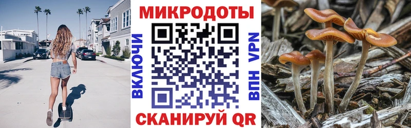 Купить закладки  Эртиль  Галлюциногенные грибы ЛСД 